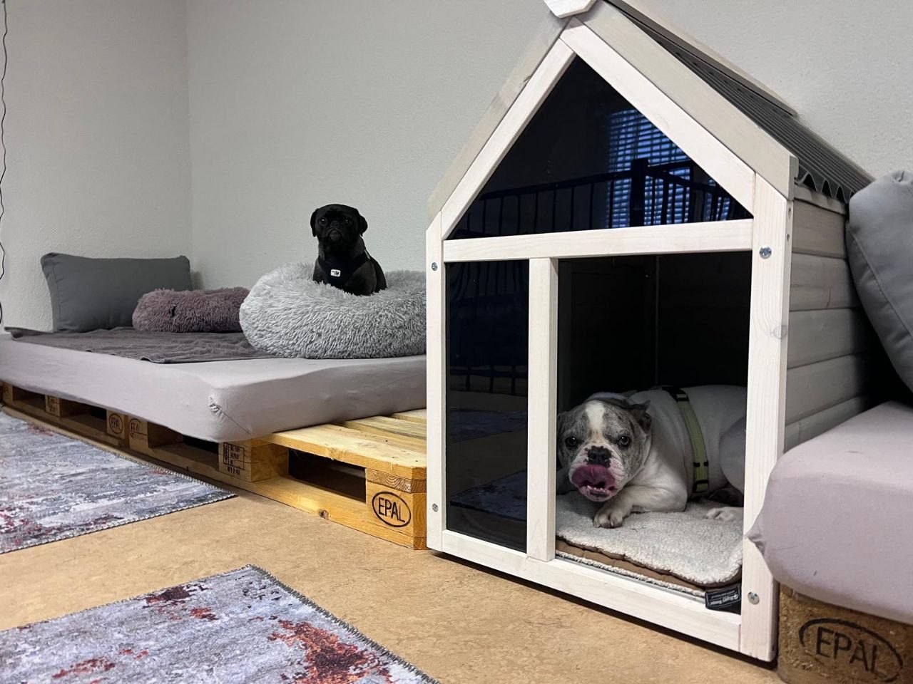 Mops und Bulldogge in der gemütlichen Hundehütte