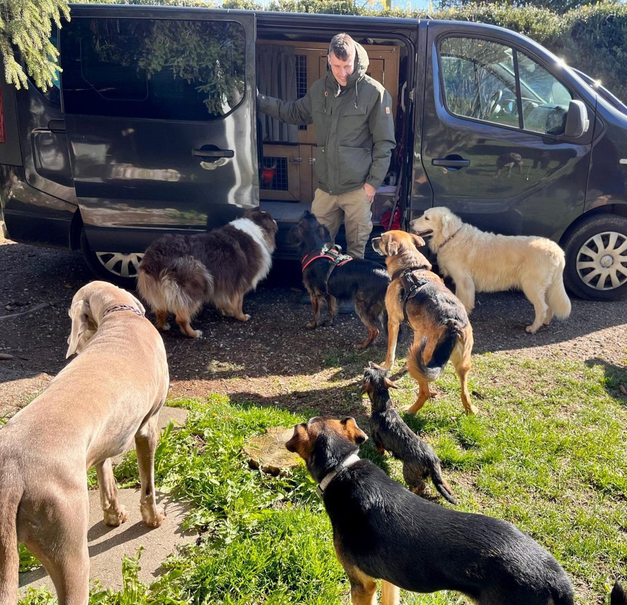 Kim mit Rudel am Hundebus